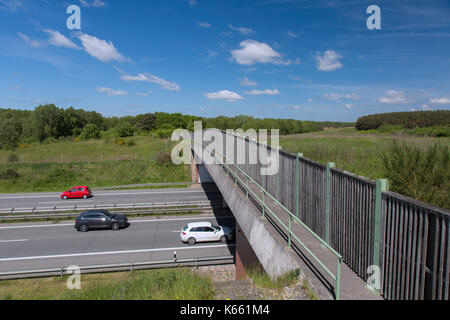 Ponte della fauna selvatica / animali cavalcavia / wildlife crossing / ecoduct oltre il collegamento autostradale tra habitat animali e di evitare collisioni con veicoli Foto Stock