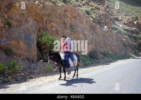 Due ragazzi su un asino in Marocco, Africa del nord Foto Stock