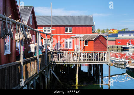 I turisti nel ristorante su palafitte in Kraemmervika Marina in villaggio porto d'estate. Ballstad, Vestvågøya isola, isole Lofoten, Nordland, Norvegia Foto Stock