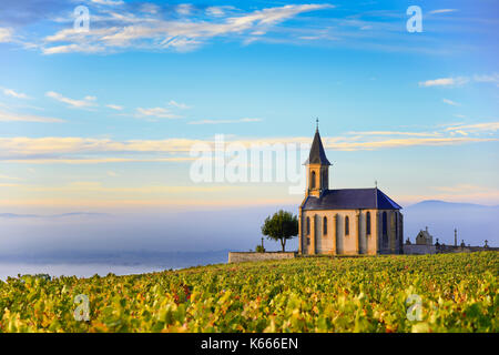 I vigneti e la chiesa nel Beaujolais con un grande cielo blu di sunrise, Francia Foto Stock