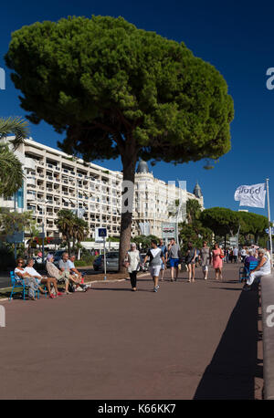 La passeggiata lungo il Boulevard de la Croisette, Cannes, Francia Foto Stock