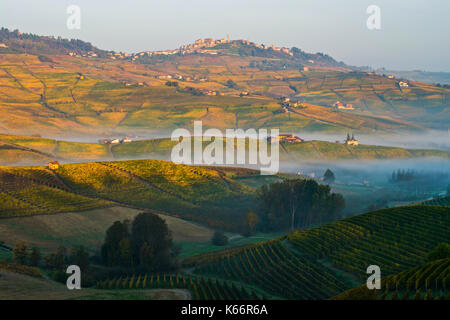 Italia piemonte - Langhe piemontesi,zona famosa in tutto il mondo per la produzione di vino.quì siamo nel periodo autunnale colomba i vitigni assumono dei colori meravigliosi|questa ripresa è stata fatta nelle Langhe piemontesi, una famosa zona vitivinicola. Questo è in autunno quando i vitigni a prendere su splendidi colori Foto Stock