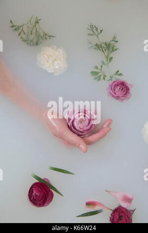 Mano di donna caucasica nel bagno di latte con fiori Foto Stock