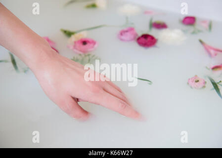 Mano di donna caucasica nel bagno di latte con fiori Foto Stock