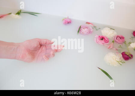 Mano di donna caucasica nel bagno di latte con fiori Foto Stock