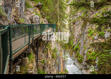 La passerella in Canyon Johnston, Bow Valley Parkway, il parco nazionale di Banff, Canada Foto Stock