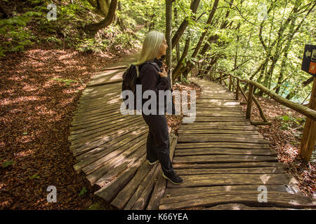 I vecchi donna caucasica segno di lettura sul percorso di legno nella foresta Foto Stock