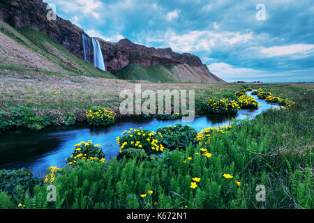 Sunrise sulla cascata seljalandfoss Foto Stock