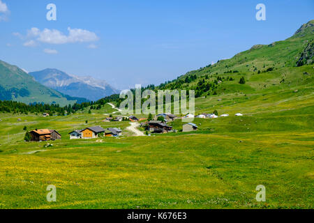 Prati verdi, cespugli, casali e pendii di montagna a Alp Flix Foto Stock