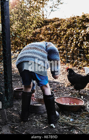 Ragazzo alimentazione di polli in giardino Foto Stock