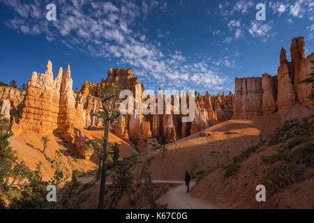 Escursionista permanente sulla Queen's Garden Trail, Parco Nazionale di Bryce Canyon, Utah, America, STATI UNITI D'AMERICA Foto Stock