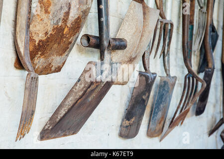 Attrezzi da giardino ordinatamente disposti su scaffalature Foto Stock