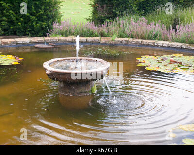 In prossimità della fontana che scorre al di fuori in giardino ; Inghilterra; Regno Unito Foto Stock
