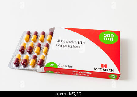 Pillole di antibiotico. Una scatola aperta di 21 500mg amoxicillina capsule con il blister di antibiotici che mostra Foto Stock