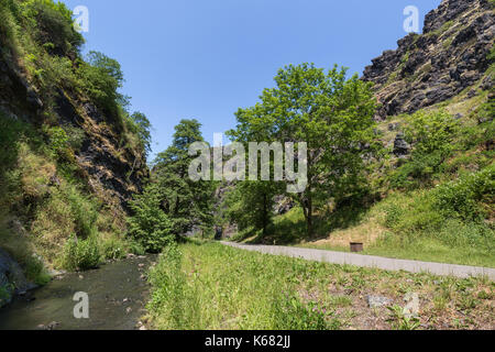 Flusso e sentiero lastricato in corrispondenza del fondo di una gola a Divoka Sarka. Si tratta di una riserva naturale alla periferia di Praga nella Repubblica ceca. Foto Stock
