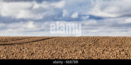 Tracce di un trattore su un vuoto archiviato pronto per la successiva coltura in autunno. Foto Stock