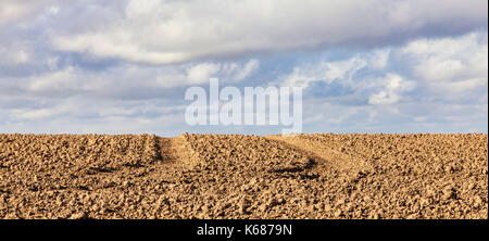 Tracce di un trattore su un vuoto archiviato pronto per la successiva coltura in autunno. Foto Stock