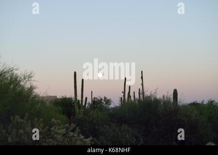 Full Moon Rising oltre il deserto sudoccidentale Foto Stock