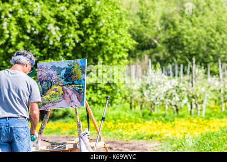 Ile D'Orleans, Canada - 1 Giugno 2017: artista uomo con la pittura su cavalletto di paesaggio di campagna in estate e il sentiero percorso road con fiori di tarassaco, Foto Stock