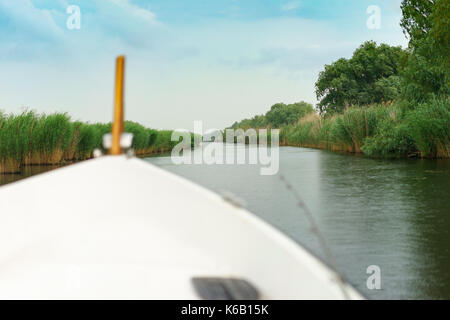 Dobbiamo andare a pescare in un giorno di pioggia nel delta del Danubio Foto Stock