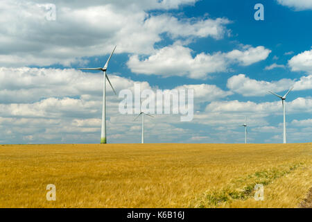 Eolian generatori in un bellissimo campo di grano. eolie fattoria della turbina,turbina eolica, campo eolico con turbine eoliche. Elica di vento. Frumento Fiel Agricoltura. Foto Stock