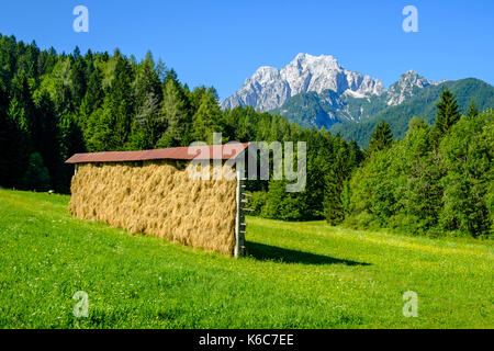 Paesaggio con prati, un essiccatore di fieno, alberi e la vetta del monte visoka ponce nella distanza nel parco nazionale del Triglav Foto Stock