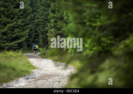 Persone escursionismo - passando attraverso una bella foresta alpina percorso Foto Stock