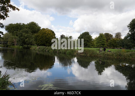 Bedford, Regno Unito. Xii Sep, 2017. uk meteo: pomeriggio soleggiato a Bedford. Il fiume Ouse fluisce attraverso bedford town center con un attraente embankment. cigni sono una visione comune sul fiume. Credito: wansfordphoto/alamy live news Foto Stock