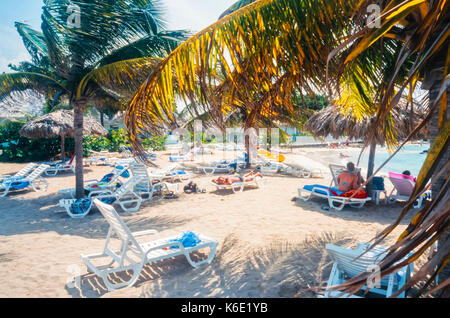 Spiaggia in Giamaica con alte palme sul Mare dei Caraibi Foto Stock