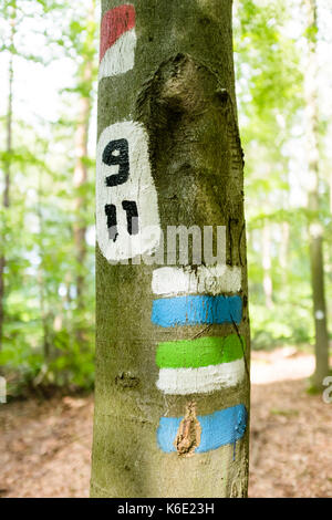 Segnavia in una foresta, Renania-Palatinato, Germania Foto Stock