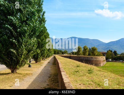 Italiano fortificazione rinascimentale, le mura della città di Lucca, Toscana, Italia Foto Stock