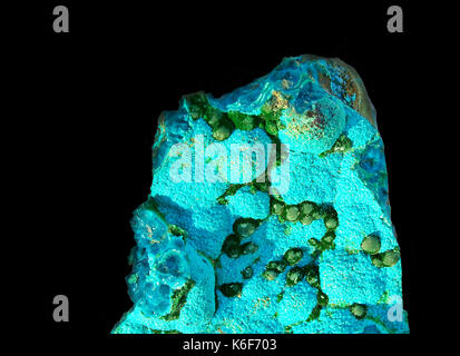 Stranamente bella combinazione di blu chrysocolla botryoidal con piccole sfere di scintillanti malachite da repubblica democratica del Congo Foto Stock