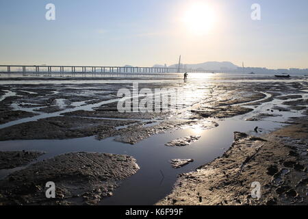 Sun set di bassa marea in ha pak nai zona umida e shenzhen bay bridge , campo oyster scene in hong kong Foto Stock