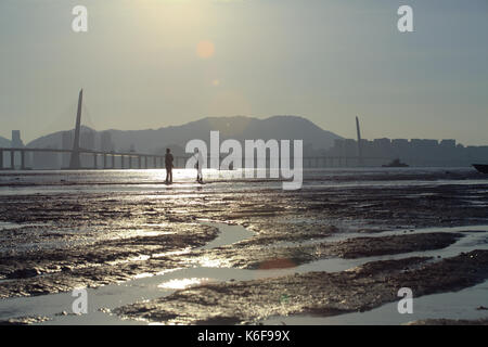 Sun set di bassa marea in ha pak nai zona umida e shenzhen bay bridge , campo oyster scene in hong kong Foto Stock