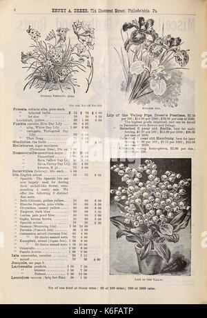 Dreer all'ingrosso listino prezzi edizione autunno da settembre a dicembre 1900 (16257273868) Foto Stock