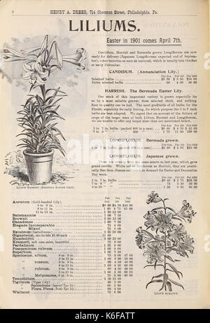 Dreer all'ingrosso listino prezzi edizione autunno da settembre a dicembre 1900 (16443172111) Foto Stock