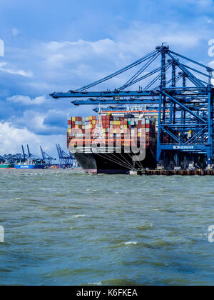 Commercio internazionale - contenitori essendo caricato e scaricato su navi container a Felixstowe, Regno Unito contenitore principale porto per le importazioni e le esportazioni Foto Stock