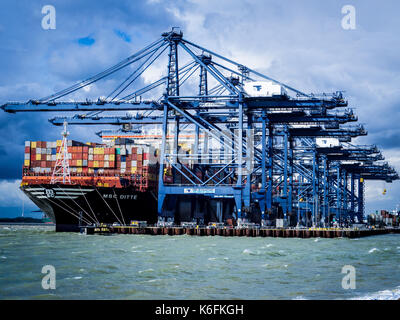 Commercio internazionale - contenitori essendo caricato e scaricato su navi container a Felixstowe, Regno Unito contenitore principale porto per le importazioni e le esportazioni Foto Stock