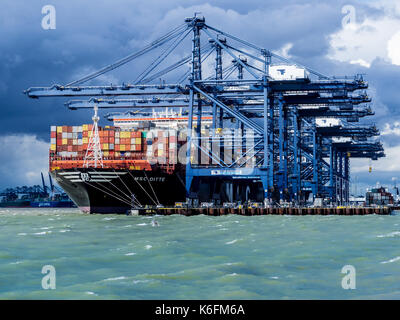 Commercio internazionale - contenitori essendo caricato e scaricato su navi container a Felixstowe, Regno Unito contenitore principale porto per le importazioni e le esportazioni Foto Stock