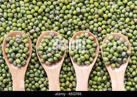 Fagioli verdi seme in un cucchiaio di legno su sfondo di fagioli. Foto Stock