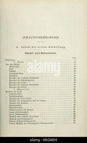 Die anatomie des Frosches (pagina 7) BHL33481840 Foto Stock