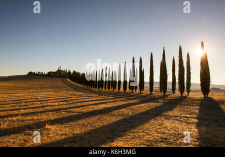 La mattina presto luce e ombre a poggio covili vicino a Bagno Vignoni in val d'Orcia Toscana Italia Europa Foto Stock