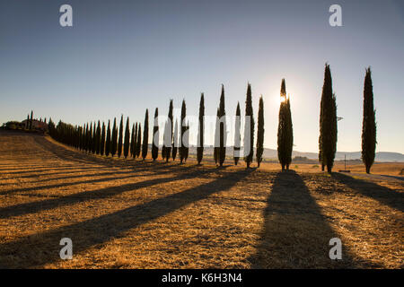 La mattina presto luce e ombre a poggio covili vicino a Bagno Vignoni in val d'Orcia Toscana Italia Europa Foto Stock
