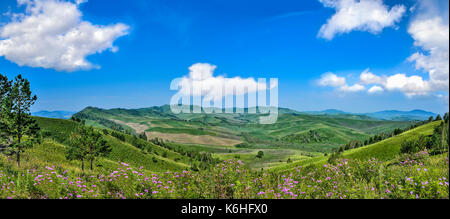 Pittoresca montagna soleggiata panoramica paesaggio di verde sulle colline di montagna cresta, il prato fiorito di lilla fiori selvaggi e belle nuvole su blu sk Foto Stock