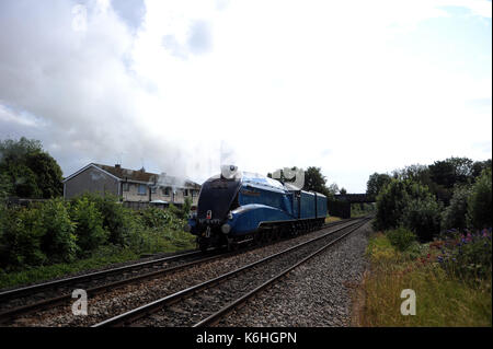 4492 'dominion della Nuova Zelanda" (in realtà 4464 / 60019 'tarabuso') passa attraverso eastbrook sul suo modo di cadoxton a croce dal basso verso l'alto la linea Foto Stock