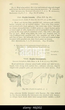 Catalogo dei lepidotteri Phalaenae nel British Museum (pagina 490) BHL18410717 Foto Stock