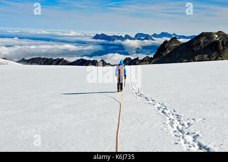 Alpinista sul ghiacciaio plateau du trient, vista verso la valle del Rodano, Vallese, Svizzera Foto Stock