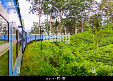 Un treno passa attraverso la piantagione di tè in Nuwara Eliya distretto, sri lanka. produzione di tè è una delle principali fonti di valuta estera per lo Sri lanka Foto Stock