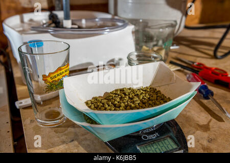 La birra artigianale ingredienti sulla bilancia, Vescovo, CALIFORNIA, STATI UNITI D'AMERICA Foto Stock