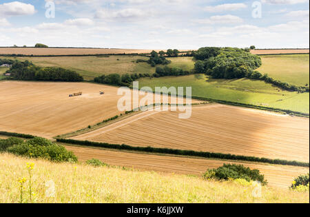 I campi di colture e pascoli nella valle cerne, immerso nel paesaggio di rotolamento di Inghilterra del Dorset Downs. Foto Stock